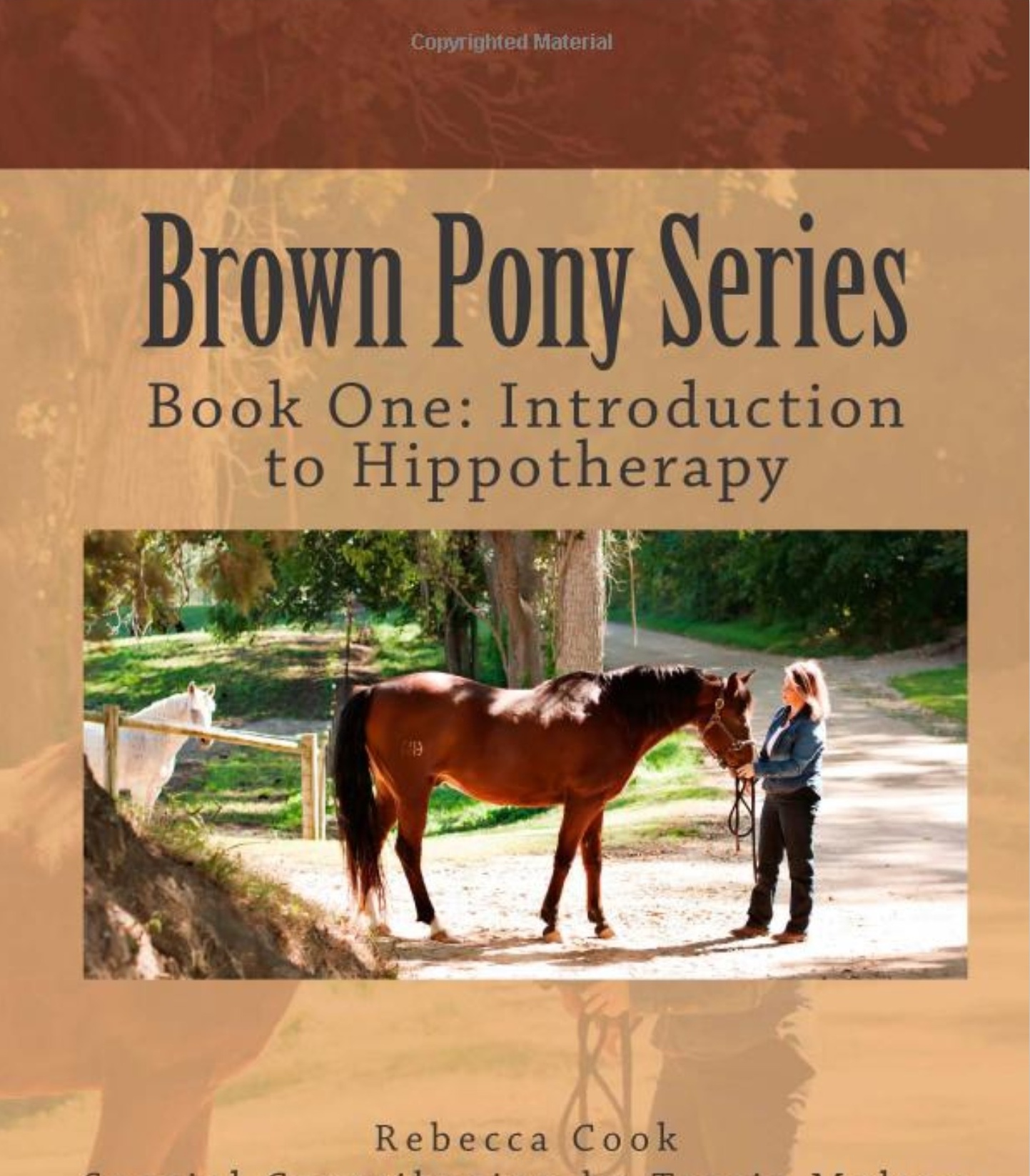 Little Brown Pony Series