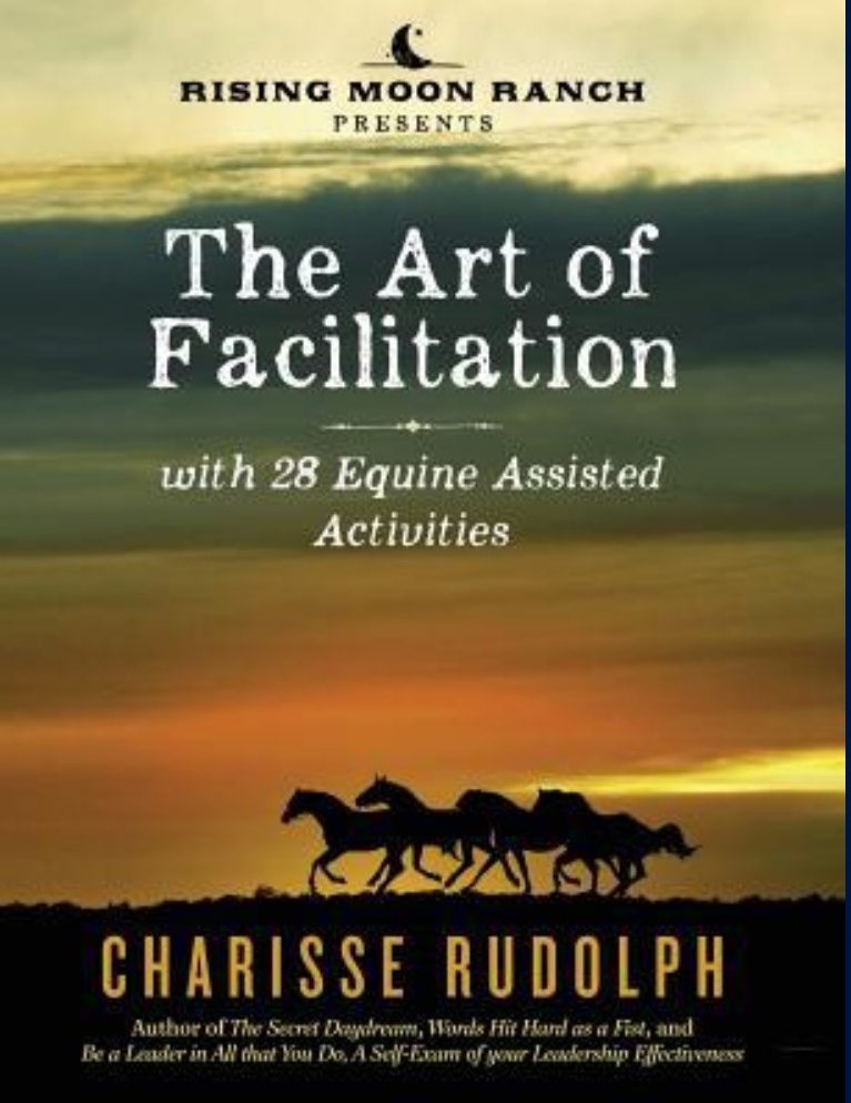 The Art Of Facilitation