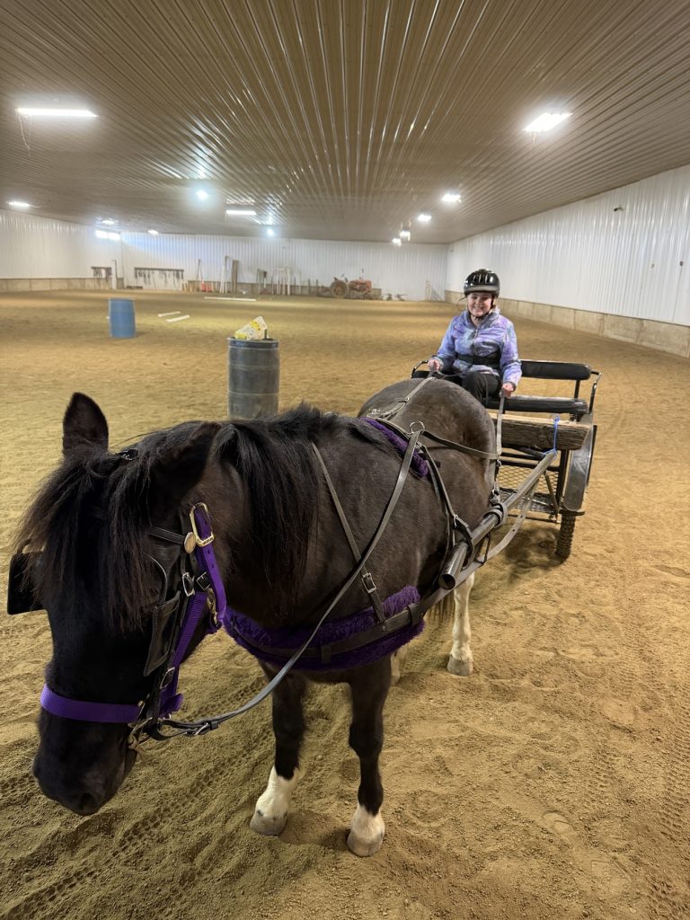 Therapeutic Riding in Sioux Falls, SD